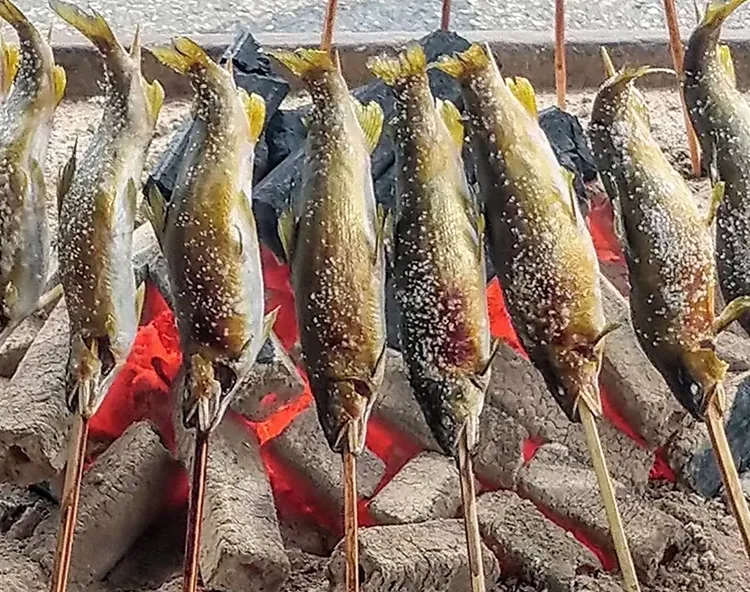鮎の塩焼き 火処